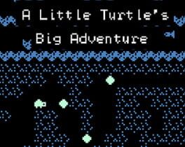 A Little Turtle's Big Adventure cover image