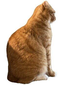 Brush Jjaemu cover image