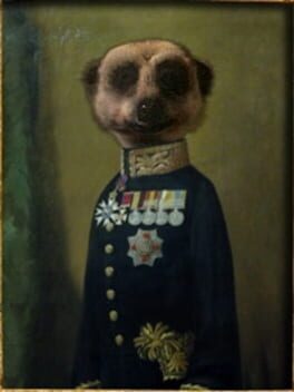 Compare the Meerkat cover image