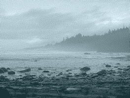 Haunt cover image