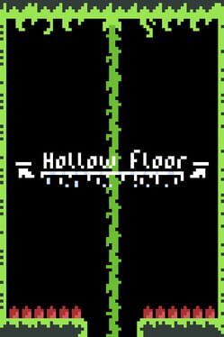 Hollow Floor cover image