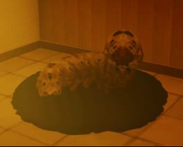 Petsitting cover image