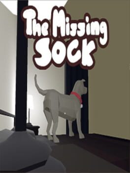 The Missing Sock cover image