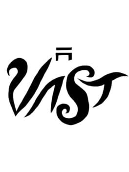 Vast cover art