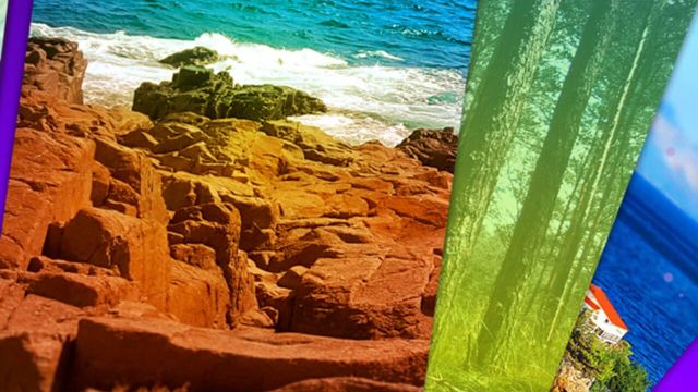 1000 Word Search Puzzles Screenshot