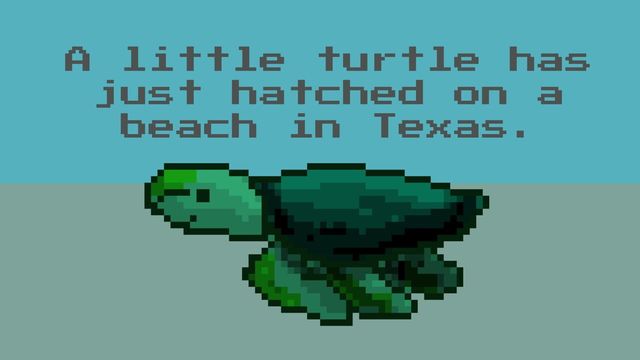 A Little Turtle Has Just Hatched on a Beach in Texas. Screenshot