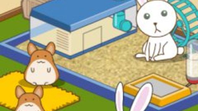 Animal Shelter Screenshot