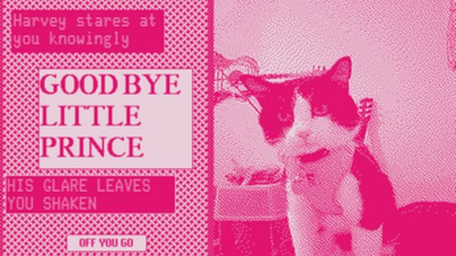 Blind and Stumbling Screenshot