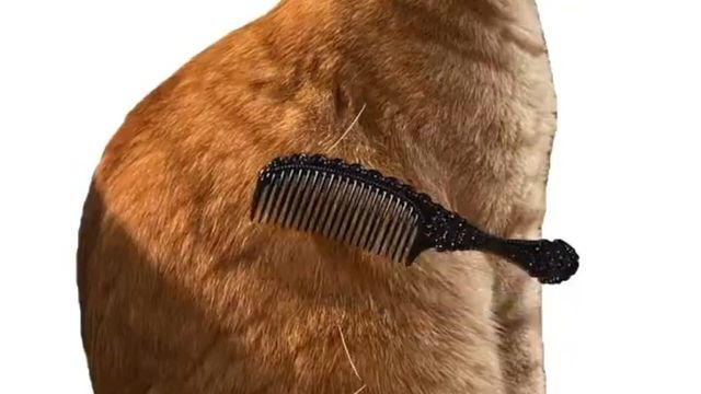 Brush Jjaemu Screenshot