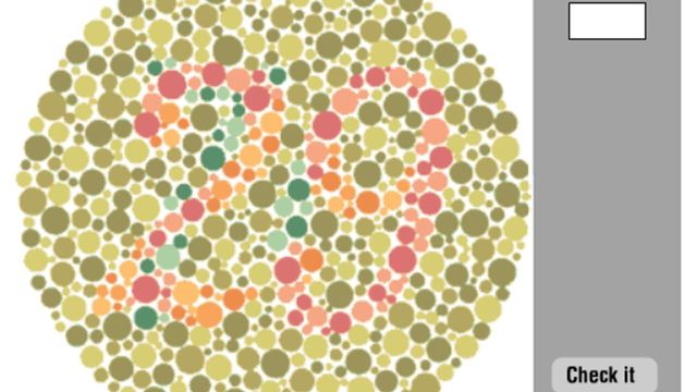 Color Vision Deficiency Test Screenshot