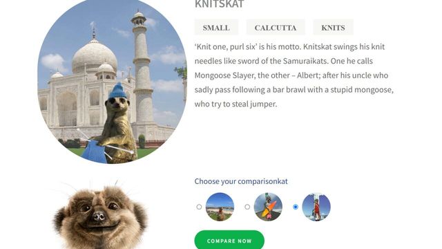Compare the Meerkat Screenshot