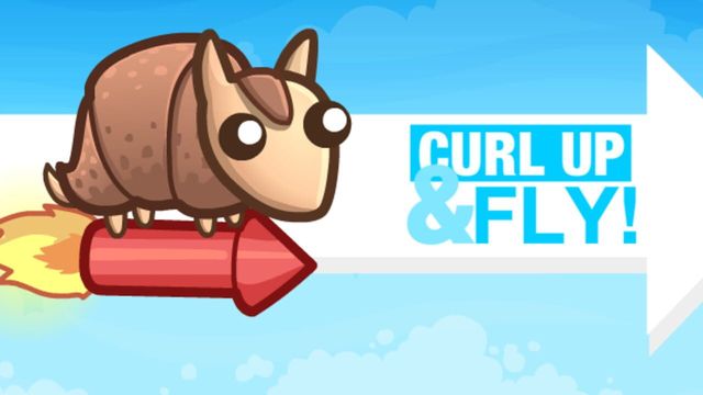Curl Up and Fly! Screenshot
