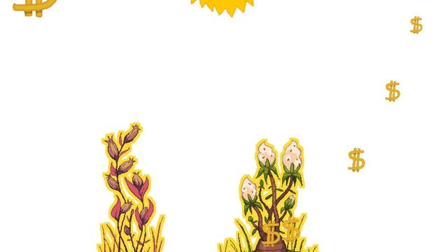 Danielle's Plant Game Screenshot