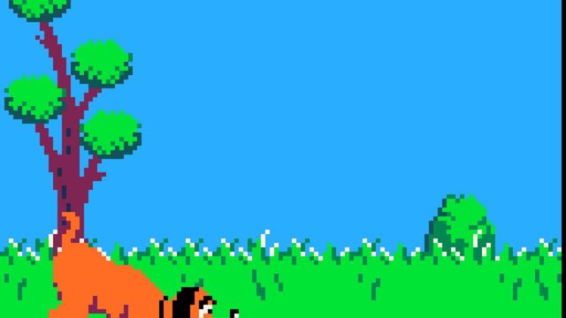 Duck Hunt Screenshot