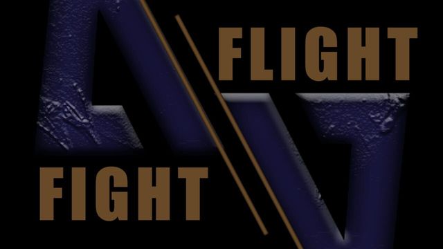 Fight // Flight Screenshot