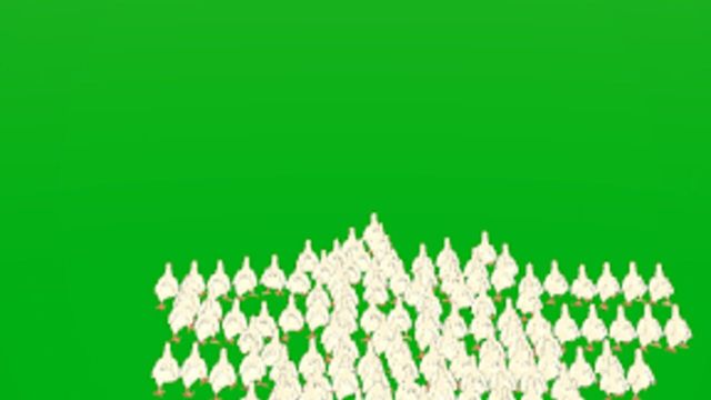 Flock Frenzy Screenshot