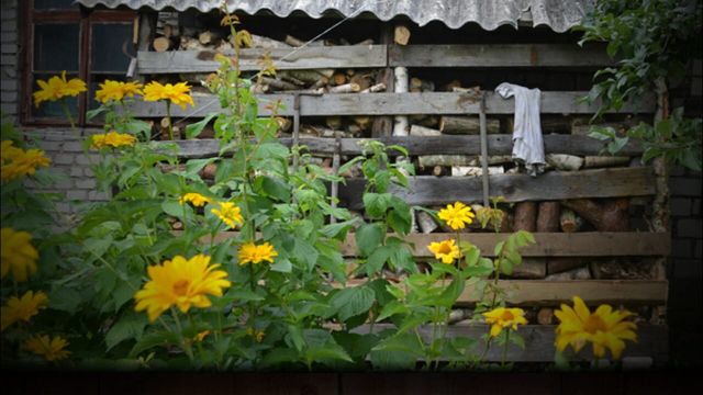 Garden Door Screenshot
