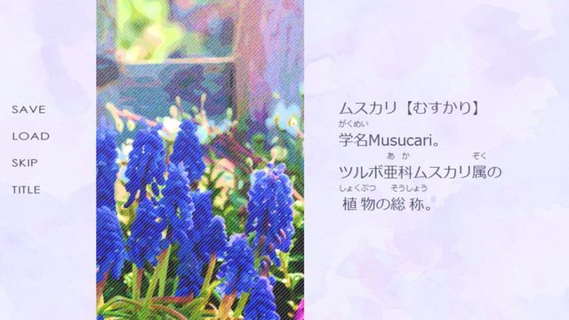 Lady Blue Screenshot