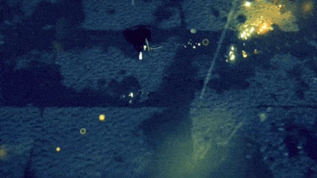 Mirror Protocol Screenshot