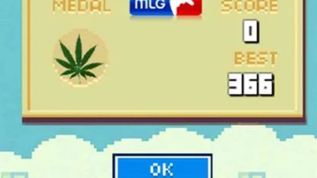 MLG Flappy Bird 420 Screenshot