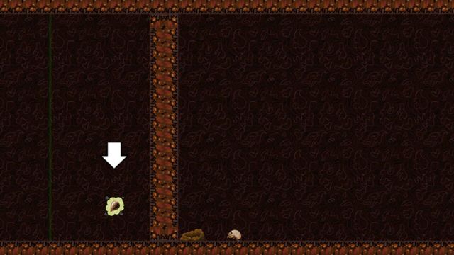 Non-Orientable Cicada Crawl Screenshot