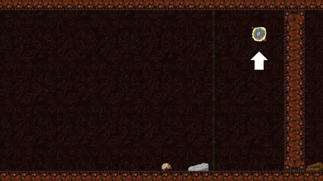 Non-Orientable Cicada Crawl Screenshot