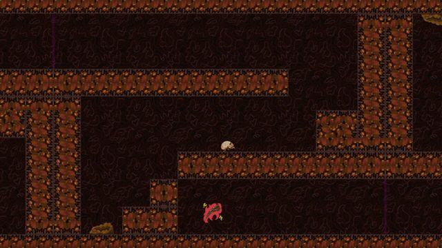 Non-Orientable Cicada Crawl Screenshot