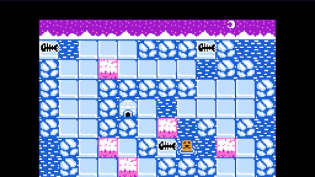 Penguin: Sokoban Adventure screenshot 1