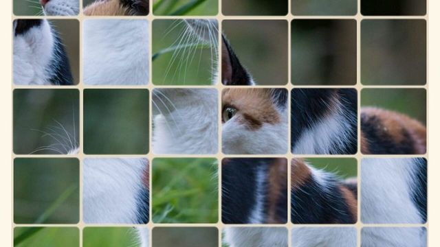 SlideGrid screenshot 3
