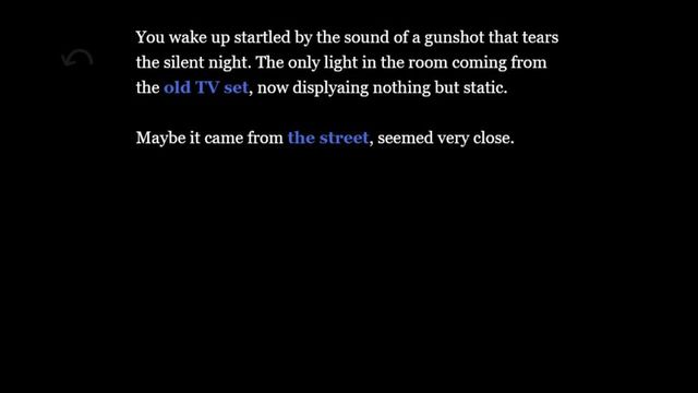 Static Screenshot