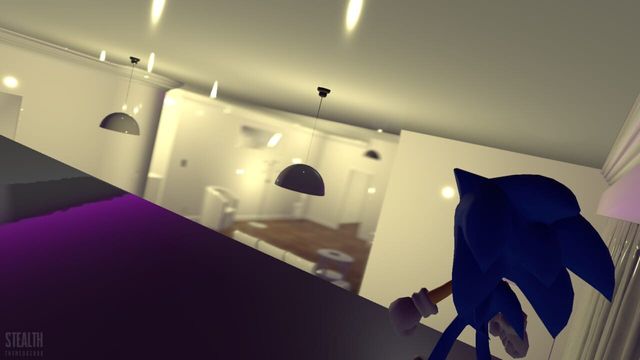 Stealth The Hedgehog Screenshot