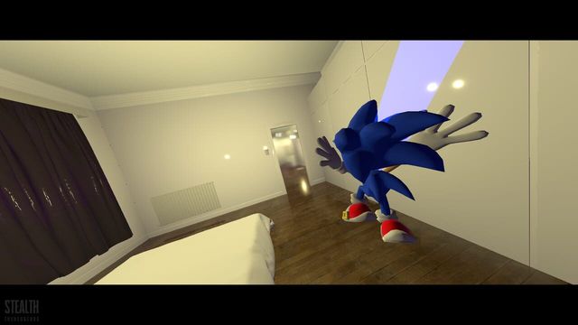 Stealth The Hedgehog Screenshot