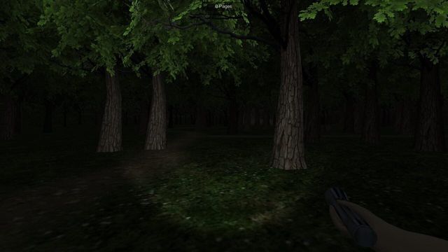 The Dawn Of Slenderman Screenshot